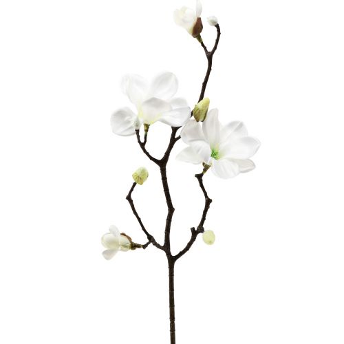 Floristik24 Kunstblume Magnolienzweig Magnolie künstlich Weiß 58cm 3St