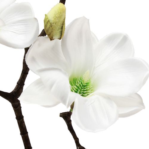 Floristik24 Kunstblume Magnolienzweig Magnolie künstlich Weiß 58cm 3St