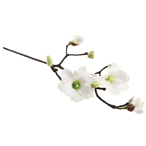 Floristik24 Kunstblume Magnolienzweig Magnolie künstlich Weiß 58cm 3St