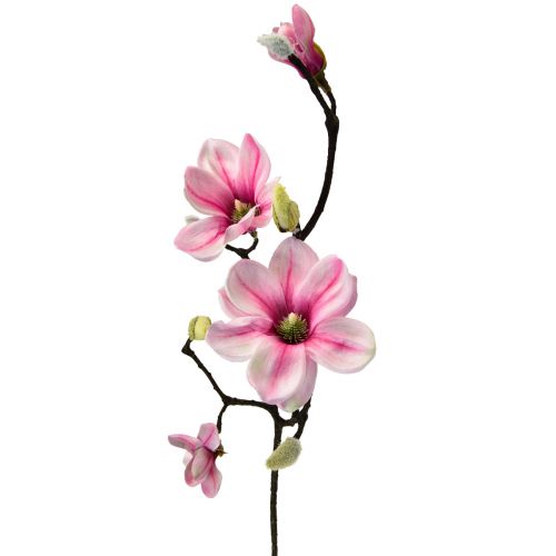 Floristik24 Kunstblume Magnolienzweig Magnolie künstlich Rosa 59cm