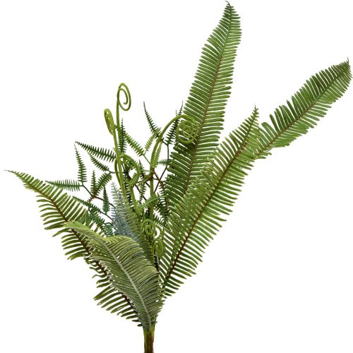 Floristik24 Kunstpflanze Künstlicher Farn Grün 55cm