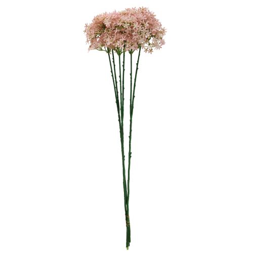 Floristik24 Deko Blume Wilder Allium künstlich Rosa 70cm 3St