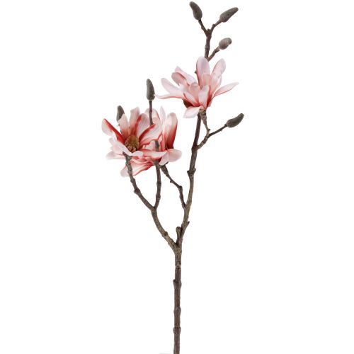Floristik24 Magnolienzweig Magnolie künstlich Lachs 58cm