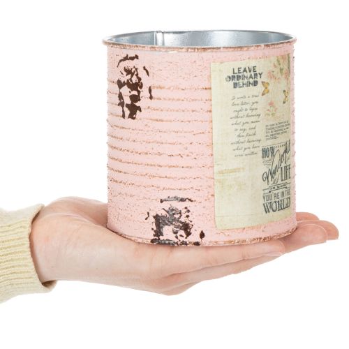 Metall Blumentopf Deko-Dose Lachs Ø11cm H10.5cm für Sommer- und Innenraumdekoration | Floristik24.ch