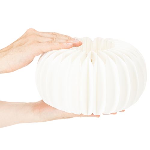 Wabenpapier Kürbis rund 24 cm weiss für Trockenblumen und Herbstdeko, 4 Stück | Floristik24.ch