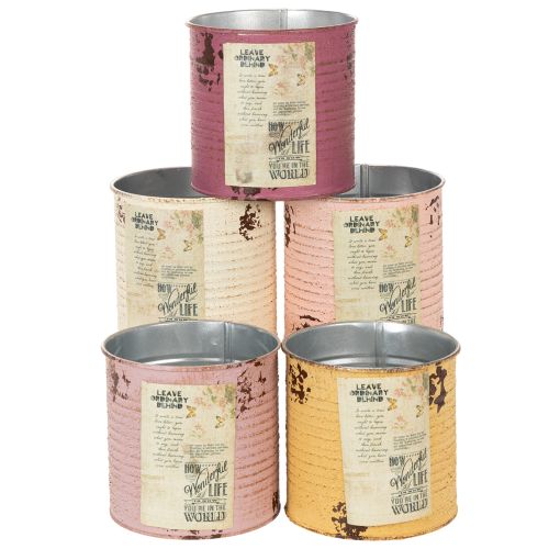 Floristik24 Deko Dose Shabby Chic Metall Ø11cm H10,5cm Verschiedene Farben
