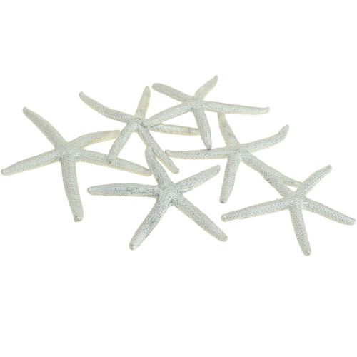Floristik24 Seestern Silber Maritime Deko Seesterne Sommerdeko 7,5cm 10 St