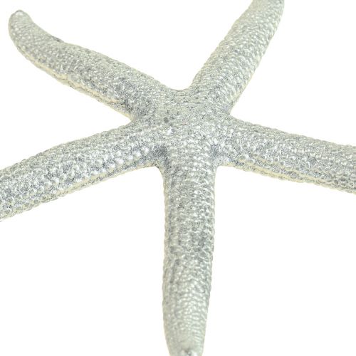 Floristik24 Seestern Silber Maritime Deko Seesterne Sommerdeko 7,5cm 10 St