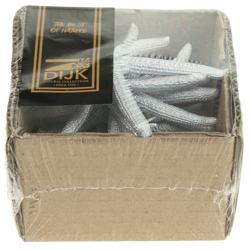 Floristik24 Seestern Silber Maritime Deko Seesterne Sommerdeko 7,5cm 10 St