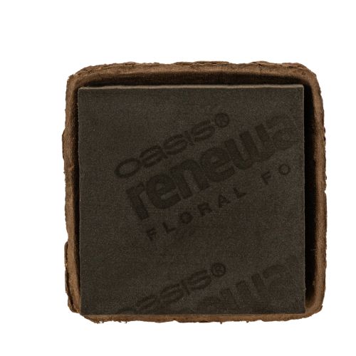OASIS® Renewal® Floral Foam Biolit® Steckschaum, 2 Halbziegel, braun, je 12 × 12 × 8 cm online kaufen | Floristik24.ch