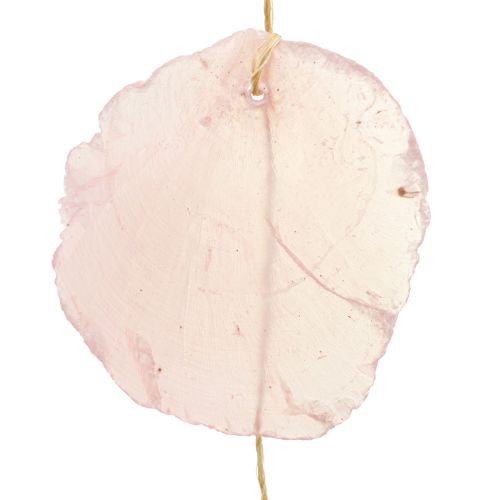 Floristik24 Muschel Girlande Perlmutt Muschelgirlande Capiz Rosa L108cm