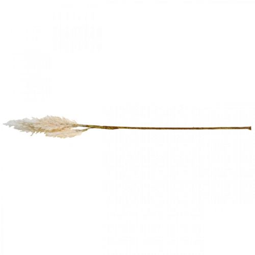 Floristik24 Pampasgras Weiß Creme künstlich Trockengräser Deko 82cm