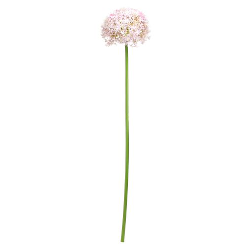 Artikel Allium mit rosa Blüte Zierlauch Künstlich Ø18cm L90cm