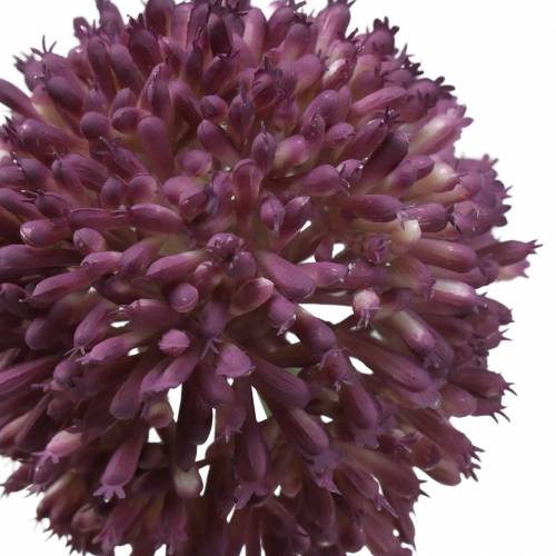 Floristik24 Zierlauch Allium künstlich Lila Ø8cm 58cm