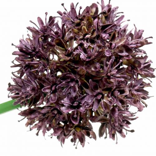 Floristik24 Zierlauch Allium künstlich Lila Ø7cm H58cm 4St