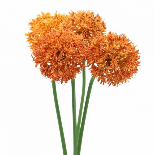 Floristik24 Zierlauch Allium künstlich Orange Ø7cm H58cm 4St