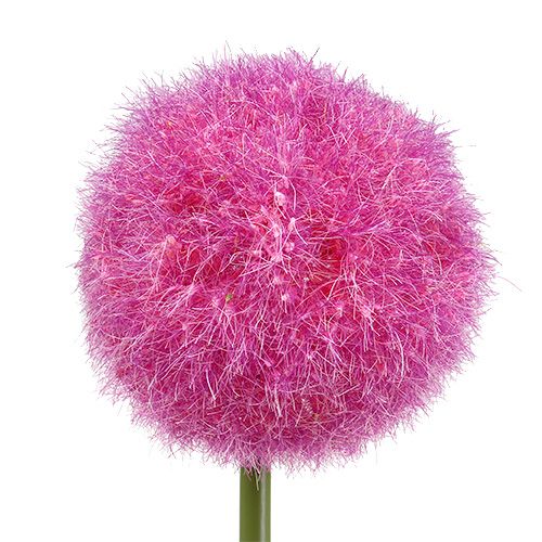 Floristik24 Allium 68cm Pink-Lila