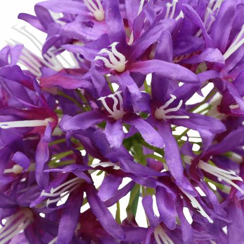 Floristik24 Zierlauch Allium künstlich Lila Ø12cm H62cm