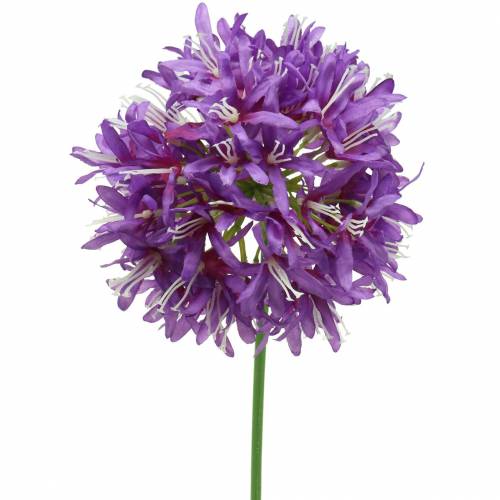 Floristik24 Zierlauch Allium künstlich Lila Ø12cm H62cm