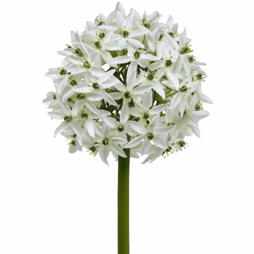 Artikel Deko-Blume Allium, künstlicher Kugellauch, Zierlauch Weiß Ø20cm L72cm