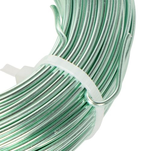 Aluminiumdraht 2 mm 60 m Mintgrün für Basteln und Dekoration | Floristik24.ch