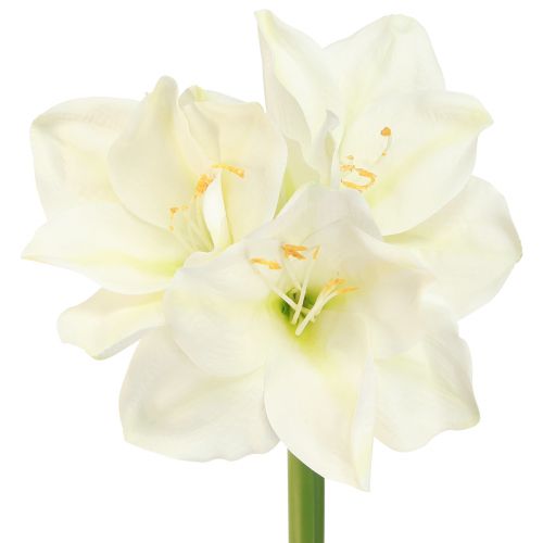 Floristik24 Amaryllis Weihnachtsblumen Künstlich L55cm Weiß 2St