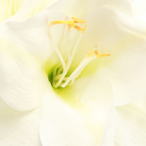 Floristik24 Amaryllis Weihnachtsblumen Künstlich L55cm Weiß 2St