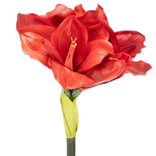 Künstliche Amaryllis in Rot mit langem Stiel, 77 cm | Floristik24.ch