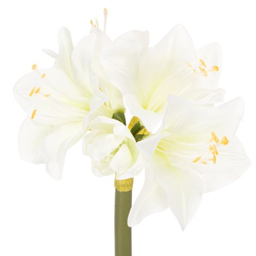 Künstliche Amaryllis Weiss mit Stiel 50cm für Advent und Weihnachten
