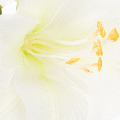 Künstliche Amaryllis Weiss mit Stiel 50cm für Advent und Weihnachten | Floristik24.ch
