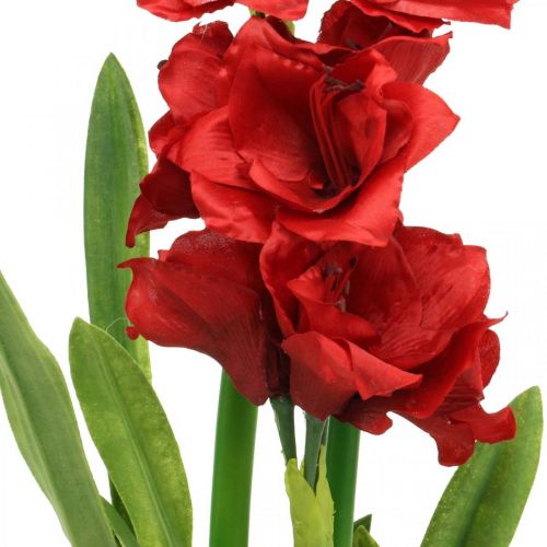 Floristik24 Künstliche Amaryllis Rot 3 Seidenblumen auf Moosballen H64cm