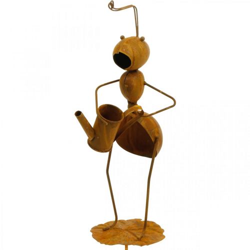 Floristik24 Dekostecker Ameise, Beetdeko, Ameise mit Gießkanne, Blumenstecker Edelrost