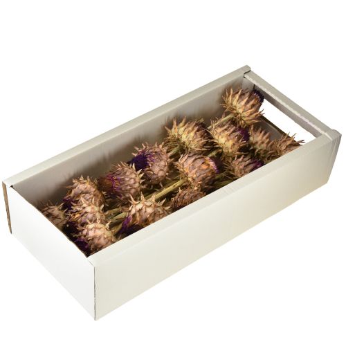 Artikel Artschockenblüte Artischocke getrocknet Cynara Ø9cm 16 St
