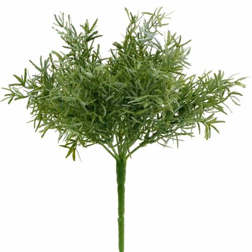 Floristik24 Asparagusbusch Zierspargel-Pick mit 9 Zweigen Kunstpflanze