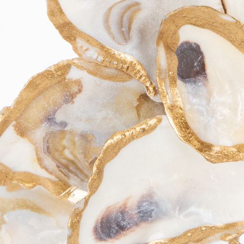 Artikel Austernkranz Muschel Dekoration Maritimes Wohnaccessoire Naturdeko zur Wandgestaltung 12cm