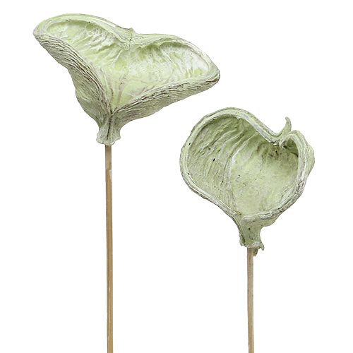 Artikel Badam am Stiel Naturdeko Grün Weiß gewaschen 25 St