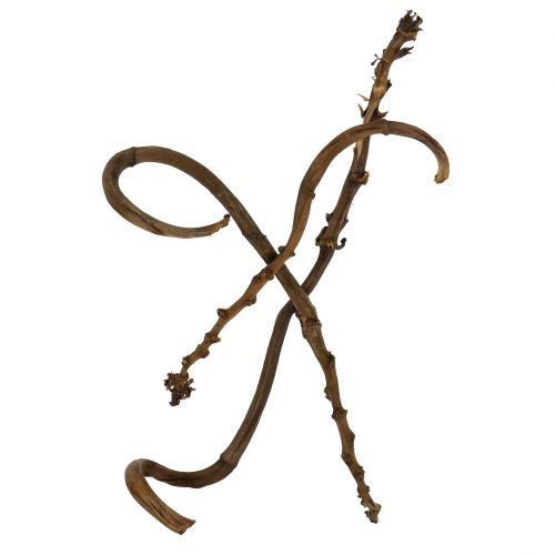 Floristik24 Banana Stick Natur groß 10 St