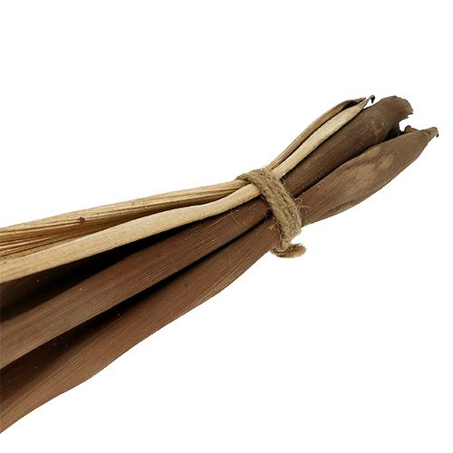 Floristik24 Bananenblatt Schale 40-45cm Natur 1 St