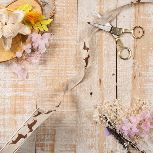 Geschenkband aus Polyester mit Dackelmotiv 15mm x 18m in Creme und Braun für Dekoration und Basteln | Floristik24.ch