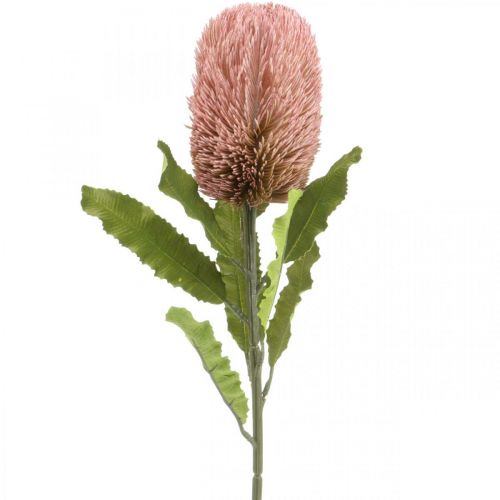 Artikel Kunstblume Banksia Rosa Herbstdeko Gedenkfloristik 64cm