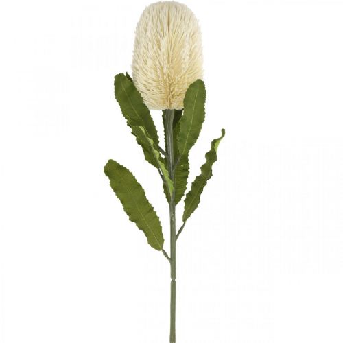 Kunstblume Banksia Weiß Creme Künstliche Exoten 64cm