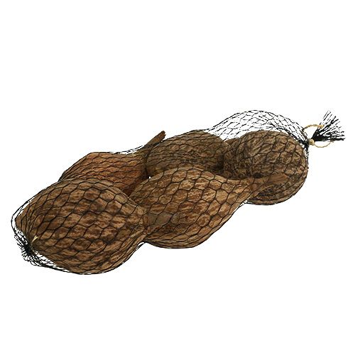 Floristik24 Baobab Frucht geschält 15cm - 20cm Natur 5 St