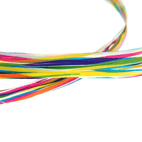 Floristik24 Bast als Dekoband bunt 200m