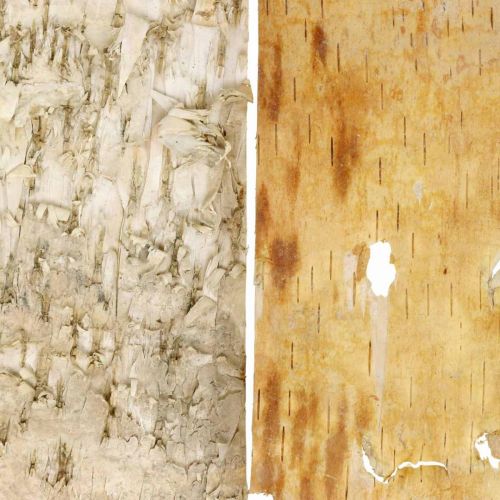 Floristik24 Baumrinde Deko Rinde Streifen Birkenrinde Natur 30×12cm 6 St