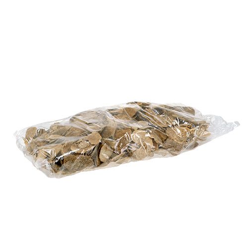 Floristik24 Baumschwamm Natur 2kg