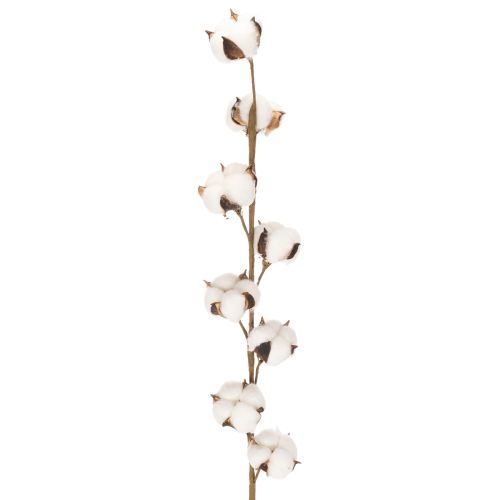 Künstlicher Baumwollzweig mit 8 echten Blüten, 78 cm, Braun-Weiss online kaufen | Floristik24.ch