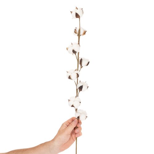 Künstlicher Baumwollzweig mit 8 echten Blüten, 78 cm, Braun-Weiss | Floristik24.ch
