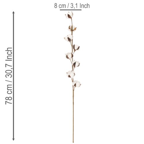 Künstlicher Baumwollzweig mit 8 echten Blüten, 78 cm, Braun-Weiss | Floristik24.ch
