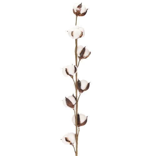 Künstlicher Baumwollzweig mit 8 echten Blüten, 78 cm, Braun-Weiss | Floristik24.ch