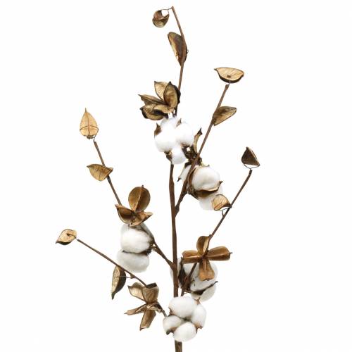Baumwollzweig 75cm | Floristik24.ch